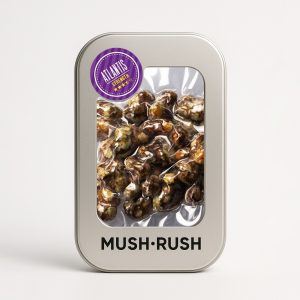 Psilocybe Atlantis Magic Truffles 15g