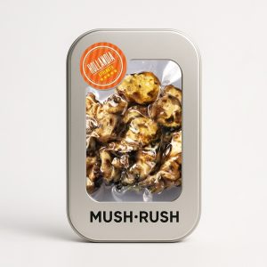 Psilocybe Hollandia Magic Truffles 15g