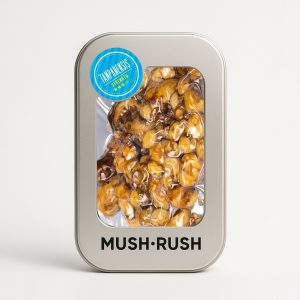 Psilocybe Tampanensis Magic Truffles 15g